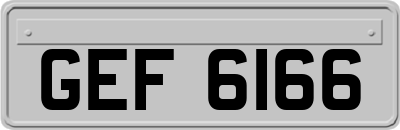 GEF6166