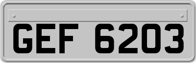 GEF6203
