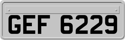 GEF6229