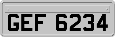 GEF6234