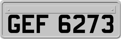GEF6273
