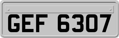 GEF6307