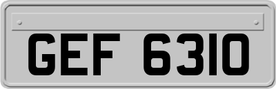 GEF6310