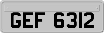 GEF6312