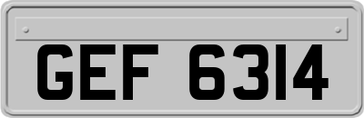 GEF6314
