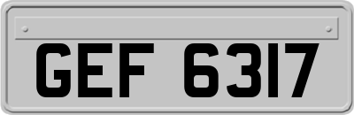 GEF6317