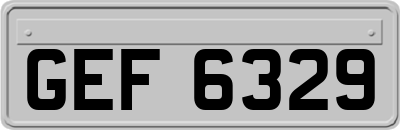 GEF6329