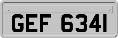 GEF6341