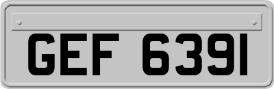 GEF6391