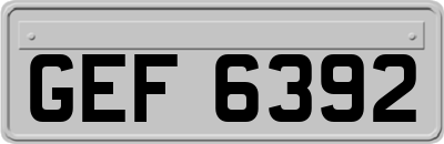 GEF6392