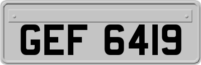 GEF6419