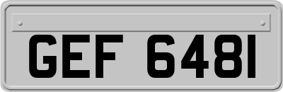 GEF6481