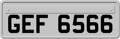 GEF6566