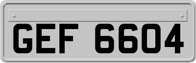 GEF6604