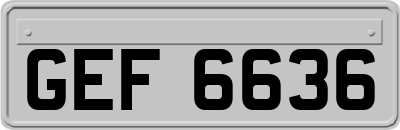 GEF6636