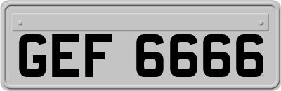 GEF6666