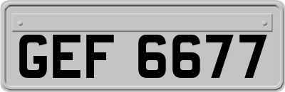 GEF6677