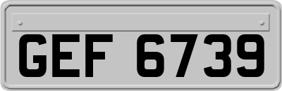 GEF6739