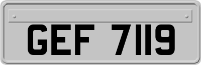 GEF7119
