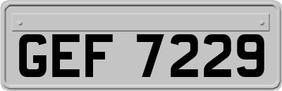 GEF7229