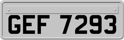 GEF7293