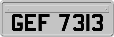GEF7313