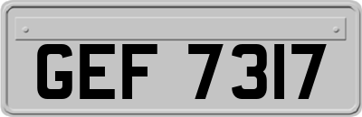 GEF7317