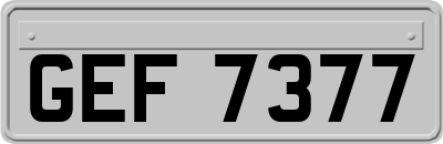 GEF7377