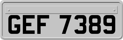 GEF7389