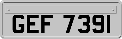 GEF7391