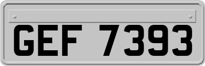 GEF7393