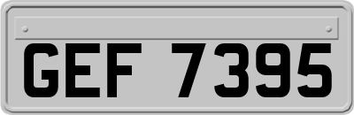 GEF7395