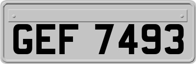 GEF7493