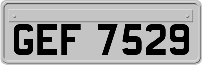 GEF7529