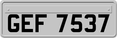 GEF7537