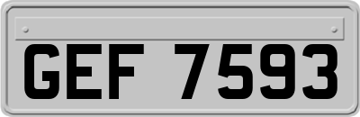 GEF7593