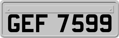 GEF7599