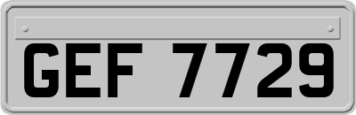 GEF7729