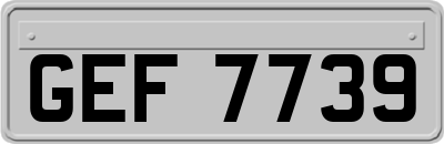 GEF7739