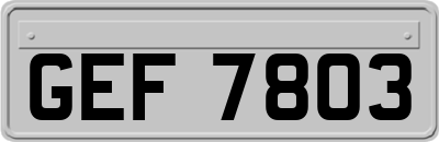 GEF7803