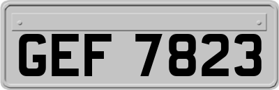 GEF7823