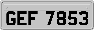 GEF7853