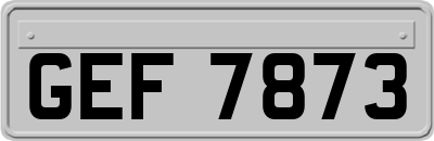 GEF7873