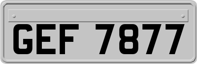 GEF7877