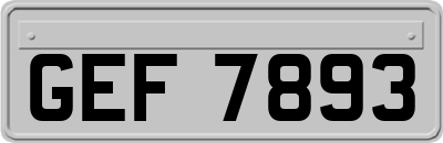 GEF7893