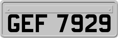 GEF7929