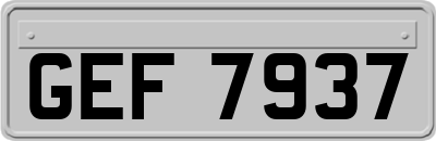GEF7937