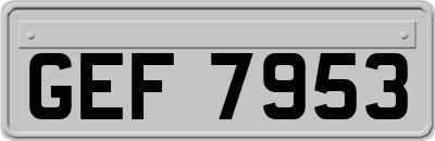 GEF7953