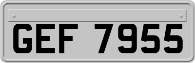 GEF7955