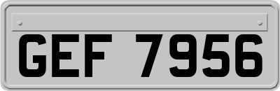GEF7956